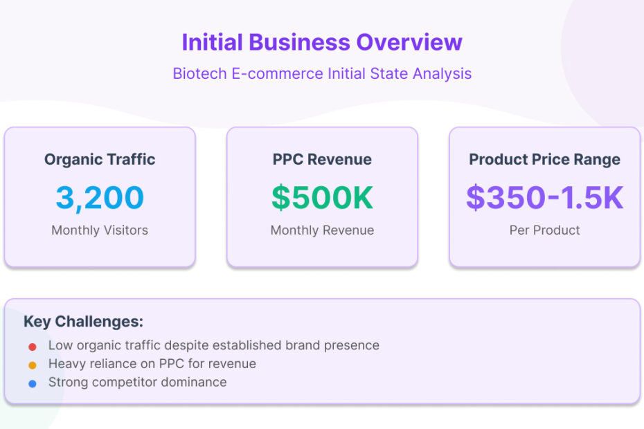 ecommerce seo case study