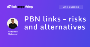 PBN links – risks and alternatives