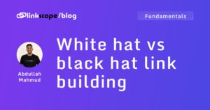 White hat vs black hat link building