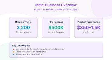 About the Client’s Business ecommerce seo case study